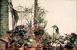 Pots De Fleurs À Sèvres 1880 by Marie Bracquemond