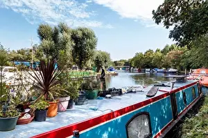 Waterway Prints: Potted plants on the roof of a red and blue-painted narrowboat moored on the River Lea by Springfield Park