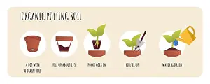 Compost Prints: Potting soil mix concept. Organic Soil for Plants. Planting preparation stage
