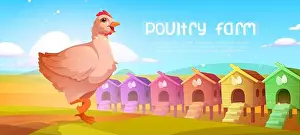 Farmyard Prints: Poultry farm cartoon banner with chicken and coops on agricultural field