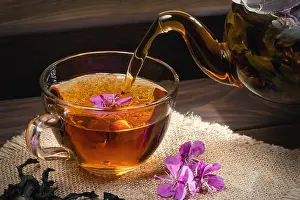 Infused Prints: Pouring fireweed herbal tea into a transparent cup