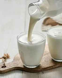 Tibetan Prints: Pouring kefir, buttermilk or yogurt with probiotics