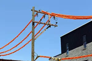 Robert K Chin Prints: Power line covers