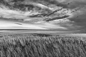 Chuck Haney Prints: Prairie grasslands and Lake Bowdoin at Bowdoin National Wildlife Refuge near Malta