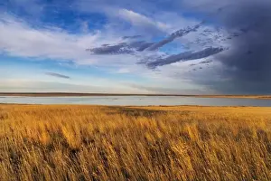 Chuck Haney Prints: Prairie grasslands and Lake Bowdoin at Bowdoin National Wildlife Refuge near Malta