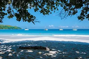 Anse Prints: Praslin Seychelles tropical island with withe beaches and palm trees