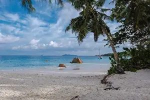 Anse Prints: Praslin Seychelles tropical island with withe beaches and palm trees