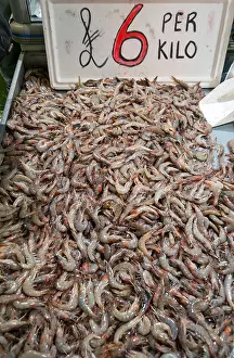 Shrimp Prints: Prawns at Billingsgate Fish Market, Isle of Dogs, London, England, UK