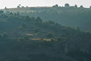 Precipice with trees on top and rocky area with sunrise sunshine