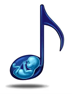 Fertility Prints: Pregnancy music and prenatal hearing songs concept for a fetus that is in the womb of an epecting mother as a maternity