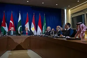 Palestine Prints: President Donald Trump participates in a multilateral meeting with Emir of Qatar Sheikh Tamim bin Hamad Al Thani