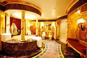 Sanitary Prints: Presidential suite, deluxe suite