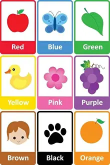 Printable flash card colletion for colors and their names with colorful pictures for preschool / kindergarten kids | let's learn colors