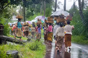 Bali Prints: Procession of Hindu women and children carrying offerings in baskets to bless the harvest during a tropical rain storm