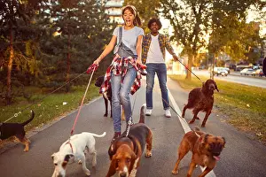 Companions Prints: Professional Dog Walker - funny walking with with dogs outdoors
