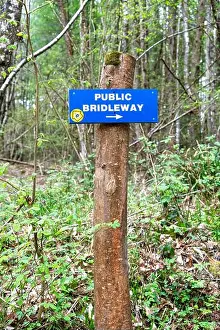 Wooden Post Prints: Public bridleway sign attached to a wooden post in woodland