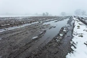 Noon Prints: A puddle on a muddy dirt road through snowy fields