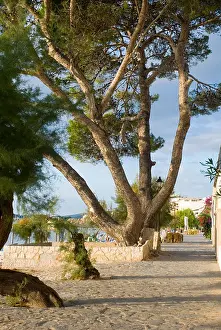 Puerto Prints: Puerto Pollensa Seafront Mallorca