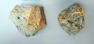 Igneous Prints: Pumice stone, a light-coloured vesicular igneous rock