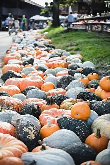 Orange Color Prints: Pumpkin festival near Zurich, Switzerland
