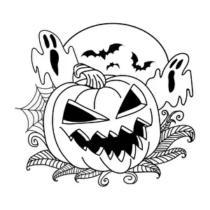 Pumpkin vector drawing. Isolated outline pumpkin halloween