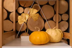 Home House Prints: Pumpkins and decor on shelf in living room, closeup