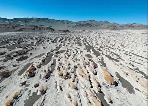 4x4 Off Road Prints: PUNA - Campo de Piedra Pomez, a bizarre but beautiful landscape in the Argentinian highlands with a field of pumice
