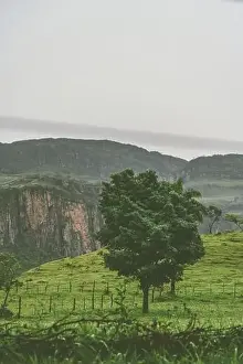 Pure nature landscape at the Serra da Canastra National Park in Brazil