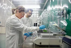Technicians Prints: Putting sample in stirrer, laminar flow cabinet