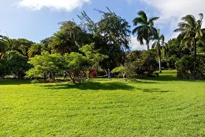 Day Time Prints: Puuiki Cemetery, Kipahulu Point Park
