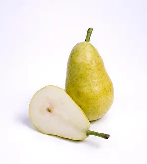 Pear Prints: Pyrus communis Kaiser Alexander (Kaiser Alexander pears)