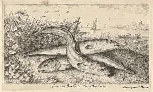 Fresh Water Prints: Three quabales on a river bank; Lota Siue Barbotta