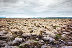 Quaint Iceland landscape with lava field covered with brown moss Eldhraun from volcano eruption and cloudy sky