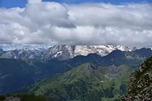 Pines Prints: The Queen of the Dolomites, the Marmolada 3343 meters high