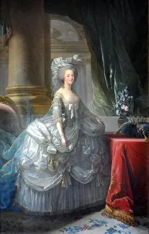 Marie Antoinette Prints: Queen Marie Antoinette in court dress