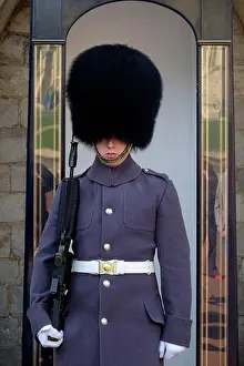 Guards Prints: Queen's guard in Winter uniform at Windsor Castle, England, UK, Europe
