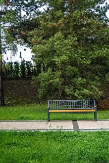 Leisurely Prints: A Quiet Park Bench Surrounded By Lush Greenery On A Calm Afternoon