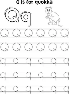 Tracing Prints: Quokka Animal Tracing Letter ABC Coloring Page Q