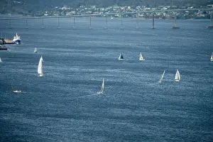 Tasmania Prints: racing yachts on the river derwent in hobart tasmania