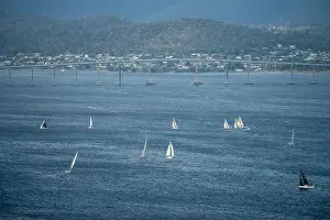 Wide Shot Prints: racing yachts on the river derwent in hobart tasmania