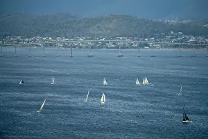 racing yachts on the river derwent in hobart tasmania
