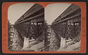 1929 Prints: Railroad bridge, Watkins Glen, NY, by Hope, J D, 1846-1929 4