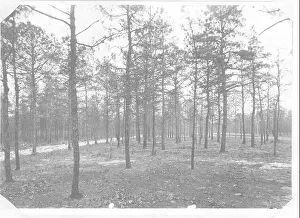 Controlled Prints: Railroad forest fire protection