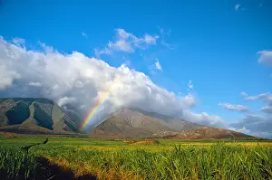 Precipitation Prints: No rain no rainbows a saying goes on Maui
