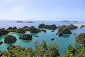 Summer Beach Prints: Raja Ampat is one of the world's last wild places