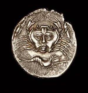 Crab Prints: Rare Ancient Greek Coin, Sicily