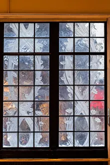 Rare Lalique windows, Art Nouveau rendered poppies and vines