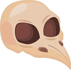 Raven Prints: raven skull icon