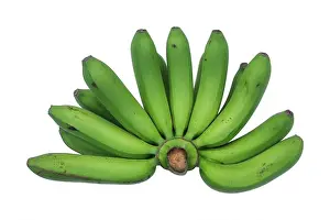 Carbohydrate Prints: real green unripe cluster of banana isolated on white