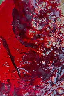 Vaccine Prints: Real Red blood background. Real animal blood